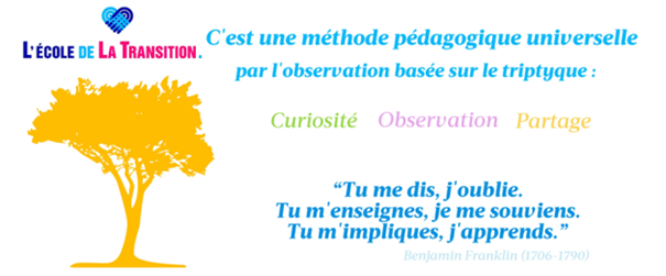 ÉCOLE DE LA TRANSITION - LA GARNACHE